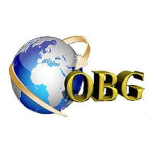 OBG-CONSULTING